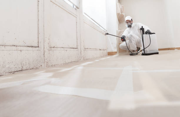 24/7 Emergency Mold Testing experts in West New York, NJ