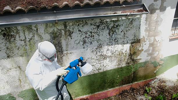 Trusted Mold Testing service in West New York, NJ - Cheap Mold Removal